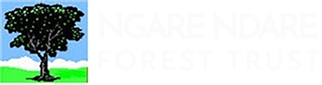 Ngare Ndare Forest Trust